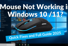 Mouse Not Working in Windows 10/11? Quick Fixes and Full Guide (2025).